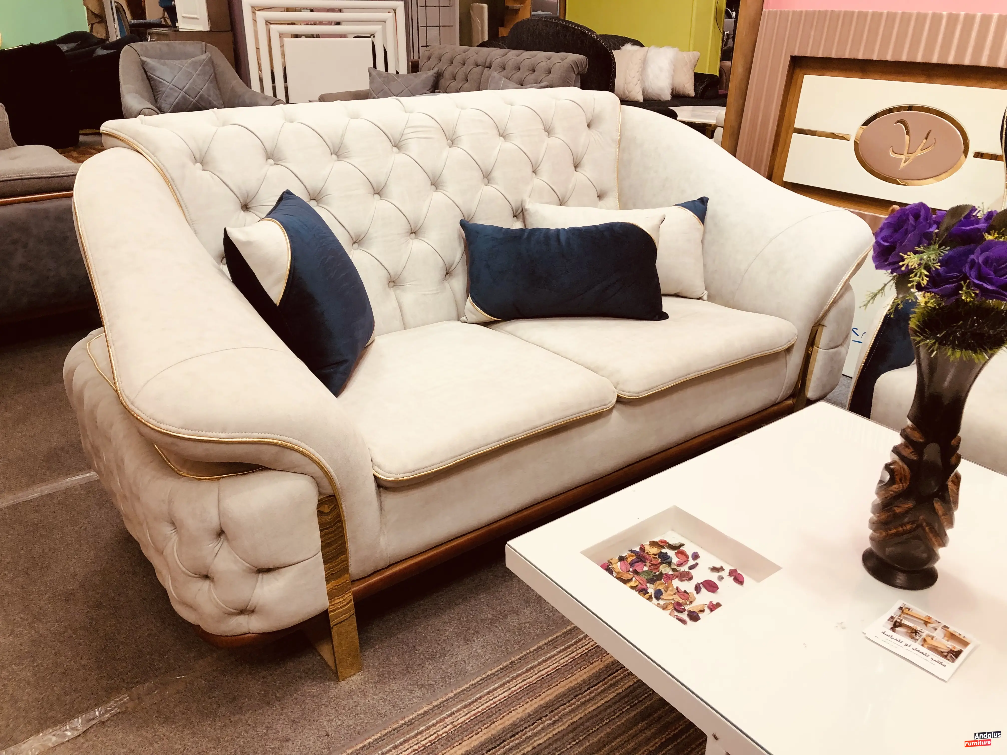 صورة 14 من أنتريه موديل 13