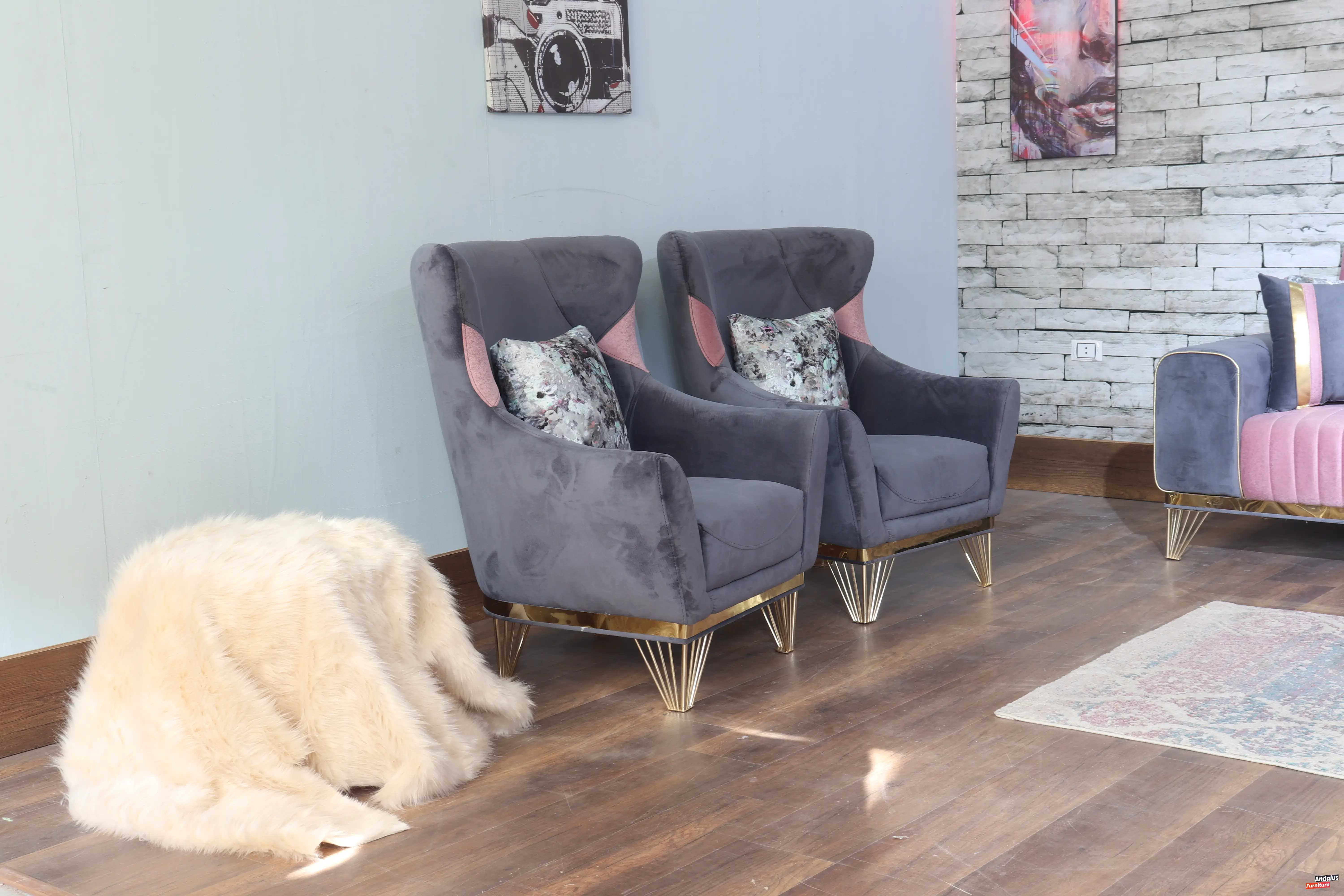 صورة 24 من أنتريه موديل 15