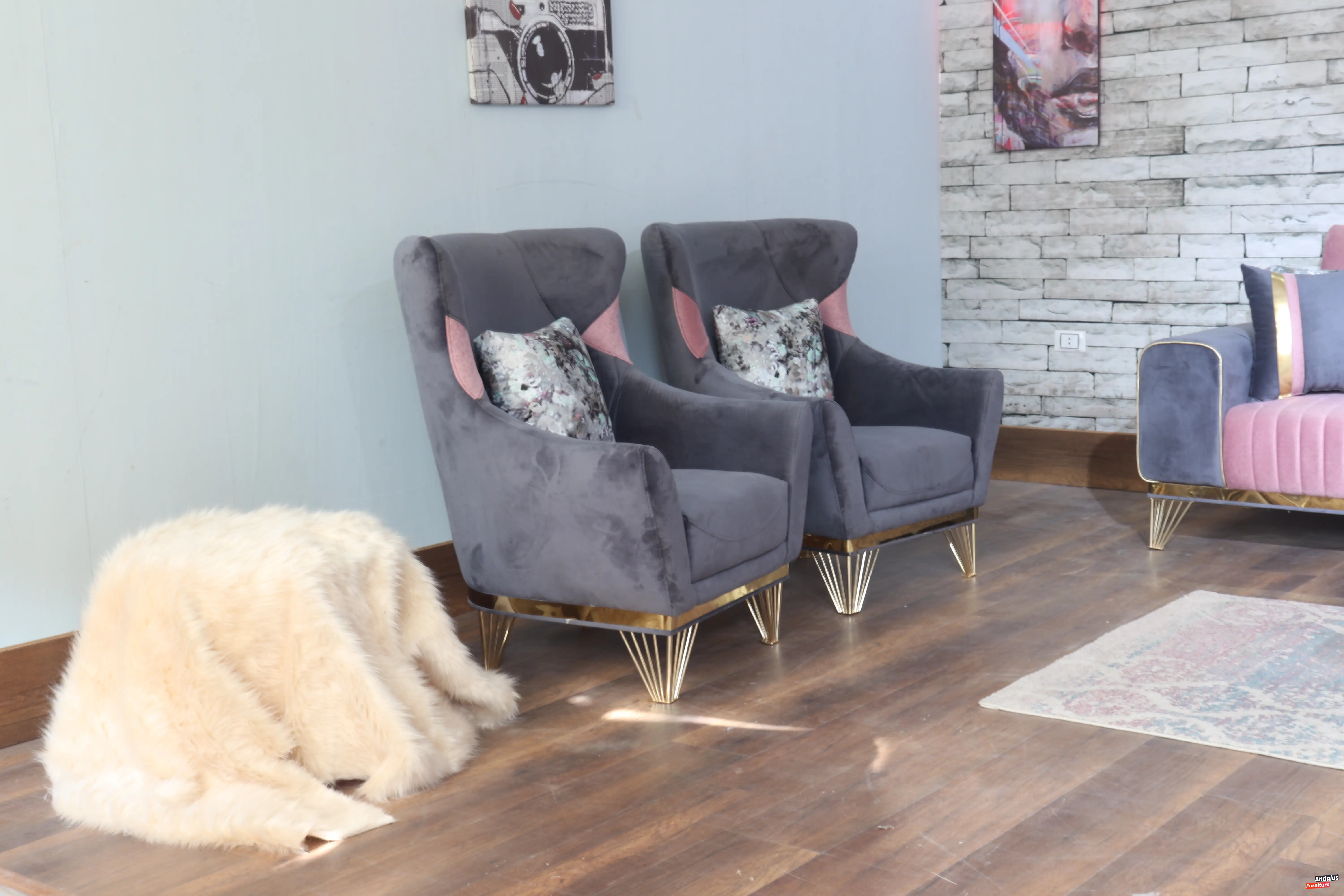 صورة 25 من أنتريه موديل 15